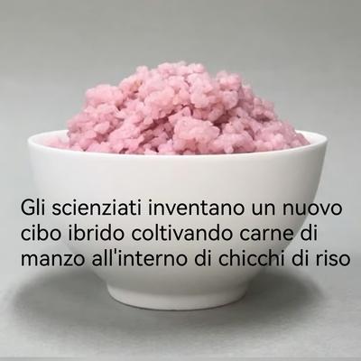 Gli scienziati inventano un nuovo cibo ibrido con carne e riso