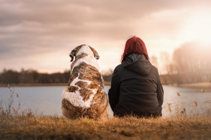 "Chi trova un amico, trova un tesoro ..."