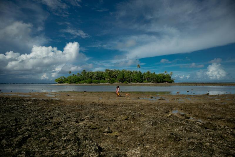 La natura arriva in nostro aiuto